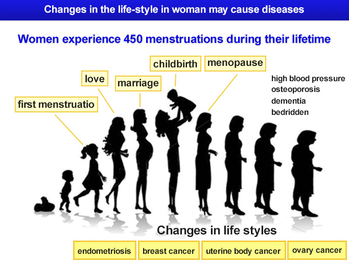 Changes in the life-style in woman may cause diseases
Women experience 450 menstruations during their lifetime